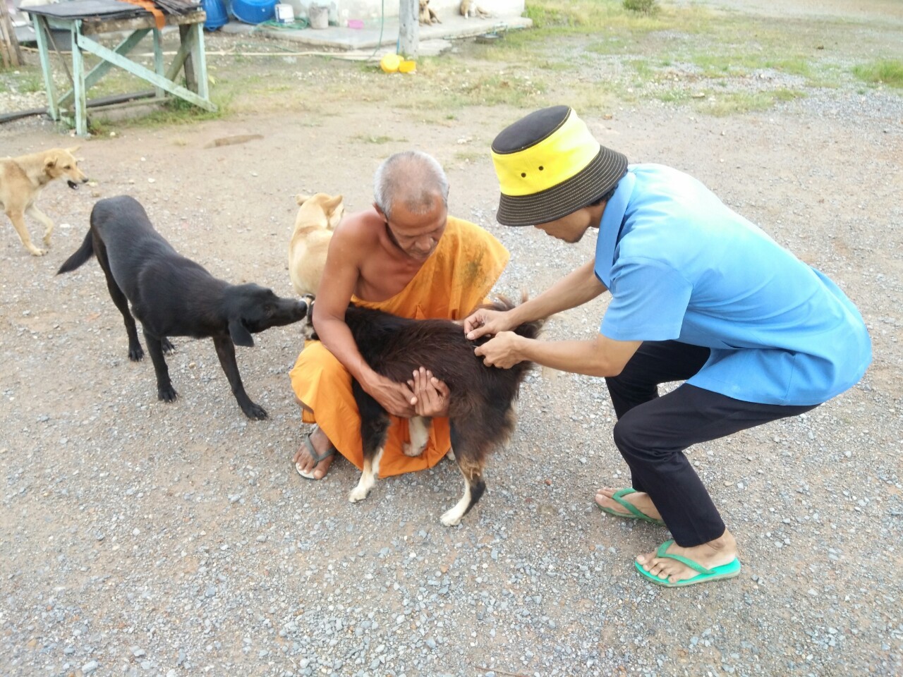โครงการสัตว์โรค คนปลอดภัย จากโรคพิสุนัขบ้า 25 กันยายน 2563